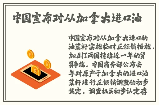 私人imax情侣影院家庭影院